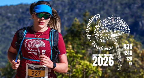 Chapada_dos_Veadeiros_LOGOS MI 2026.png